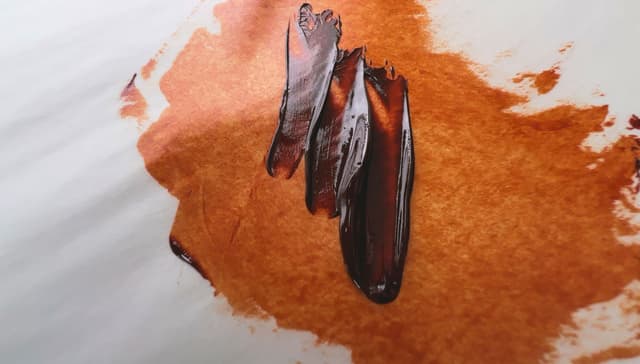 Quinacridone Burnt Orange in Oil Paints 2