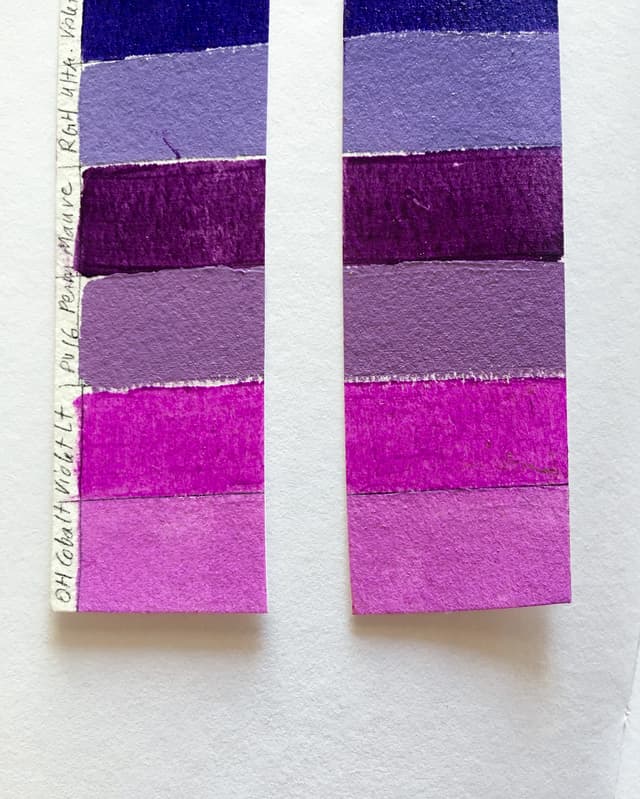 Fabulous Cobalt Violets - Some endangered, some extinct 2