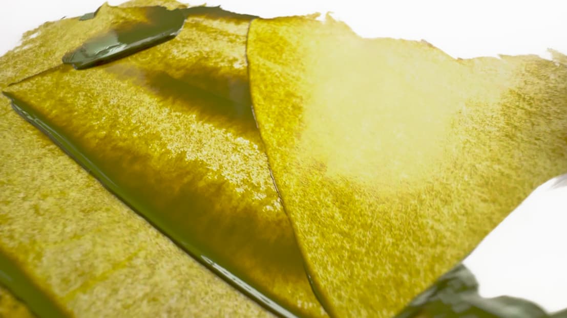 Thin applications of oil paint that show the transparent nature of Green Gold